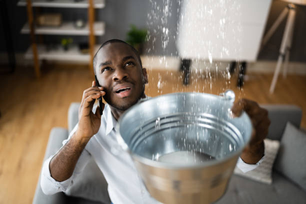 Best Commercial water damage restoration  in Grambling, LA