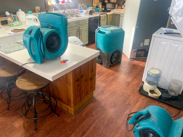 Best Flood damage cleanup  in Grambling, LA