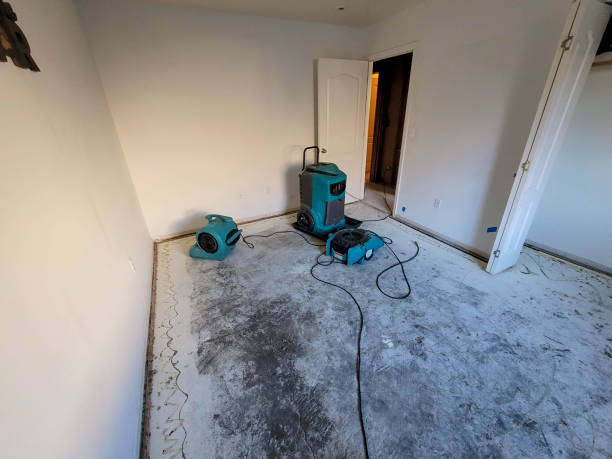 Best Emergency water extraction  in Grambling, LA