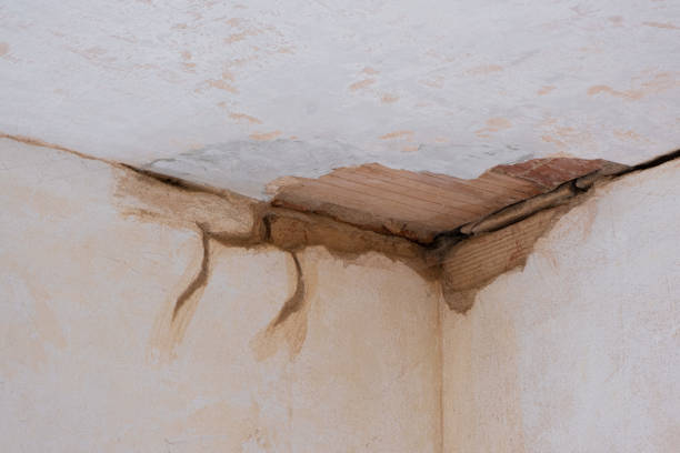 Best Basement water damage restoration  in Grambling, LA
