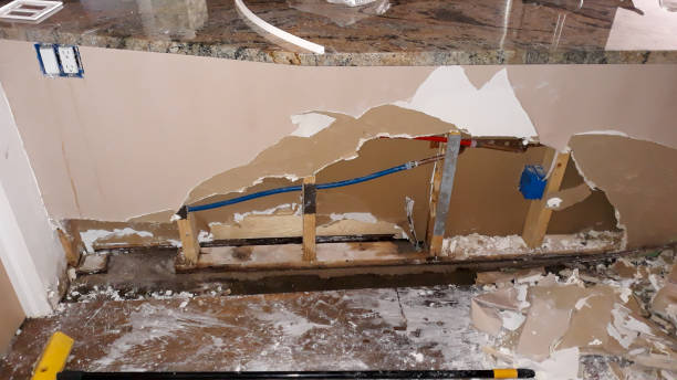 Best Professional water damage repair  in Grambling, LA