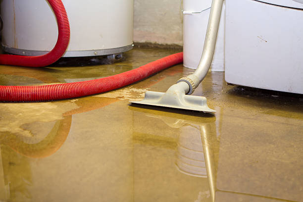 Best 24/7 water damage repair  in Grambling, LA