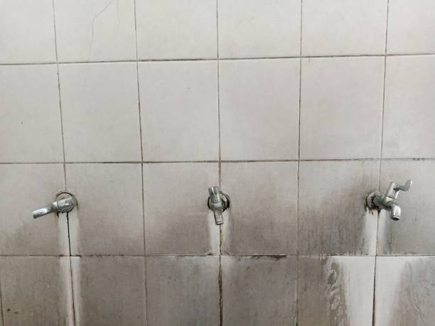 Best Fire Damage Restoration  in Grambling, LA