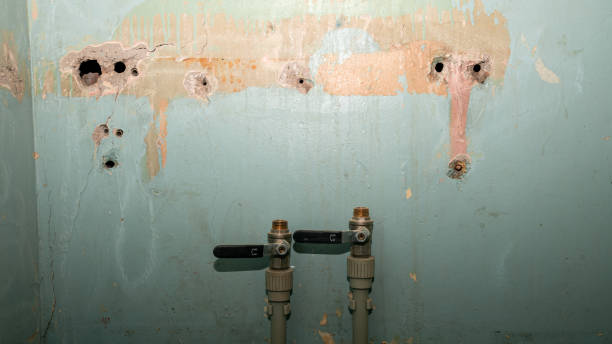 24/7 water damage repair in LA