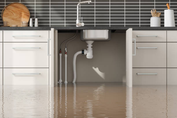 Best 24/7 water damage repair  in Grambling, LA