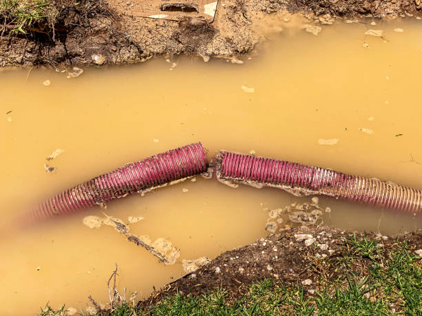 Best Flood restoration services  in Grambling, LA